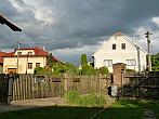 Třibřichy